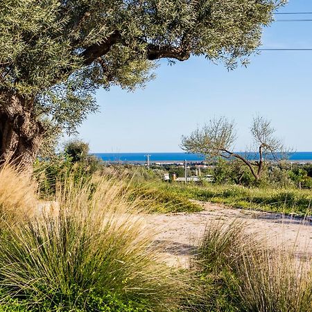 Quinta Da Baleeira Villa Tavira Eksteriør billede
