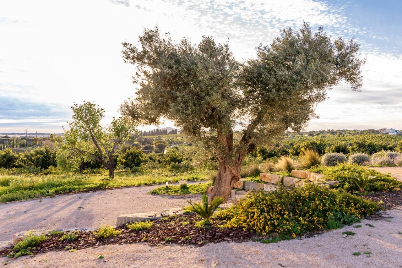 Quinta Da Baleeira Villa Tavira Eksteriør billede