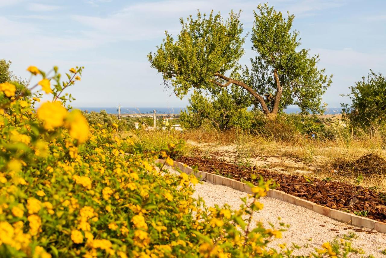 Quinta Da Baleeira Villa Tavira Eksteriør billede