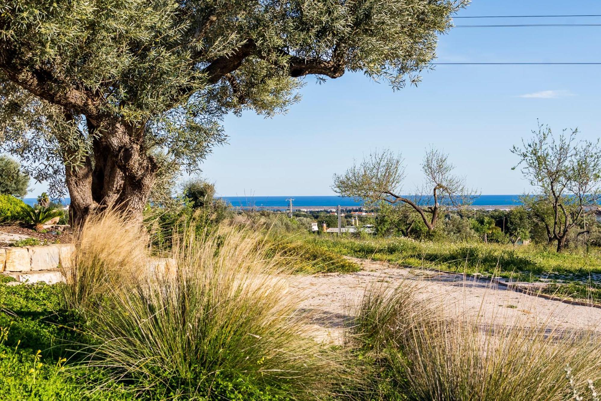 Quinta Da Baleeira Villa Tavira Eksteriør billede
